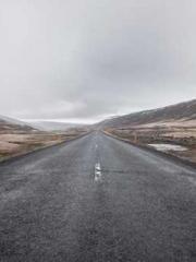 Professor Yan is goi