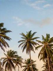 [Fast Travel] Posses