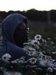 The Apothecaryapos;s