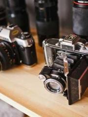 Wine, sex, money and